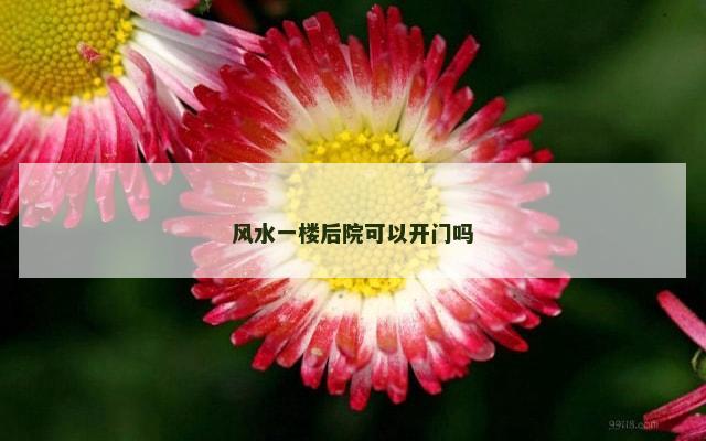 风水一楼后院可以开门吗