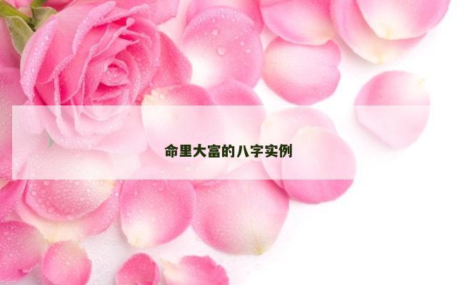 命里大富的八字实例