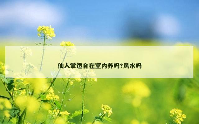 仙人掌适合在室内养吗?风水吗