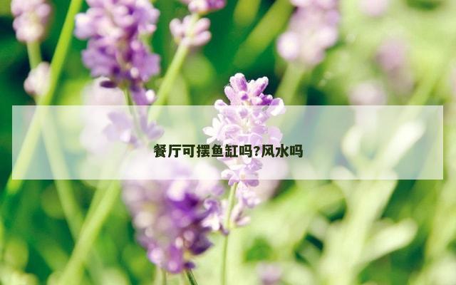 餐厅可摆鱼缸吗?风水吗