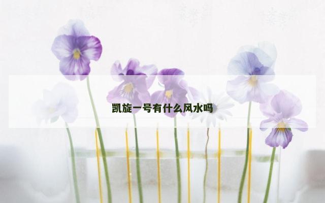 凯旋一号有什么风水吗