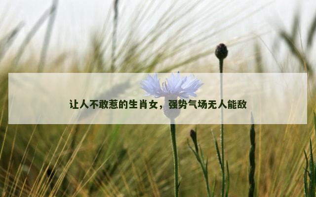 让人不敢惹的生肖女，强势气场无人能敌