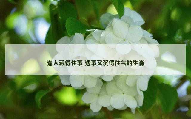 逢人藏得住事 遇事又沉得住气的生肖