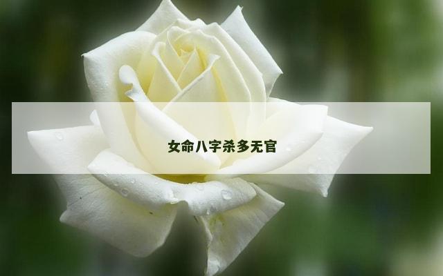 女命八字杀多无官