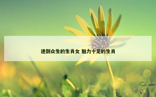 迷倒众生的生肖女 魅力十足的生肖