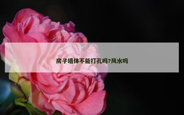 房子墙体不能打孔吗?风水吗