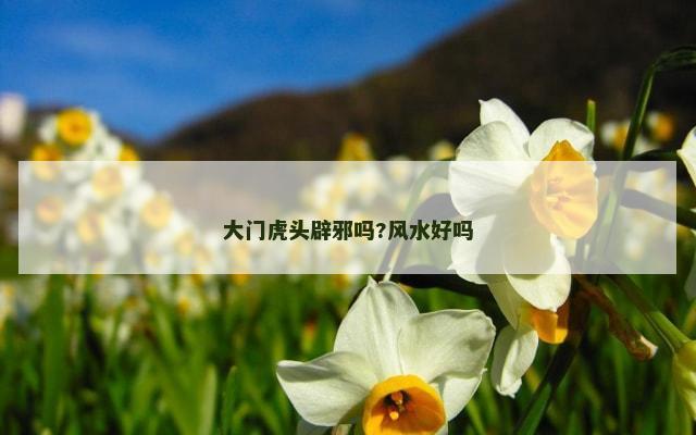 大门虎头辟邪吗?风水好吗