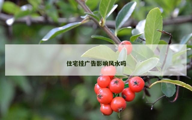 住宅挂广告影响风水吗