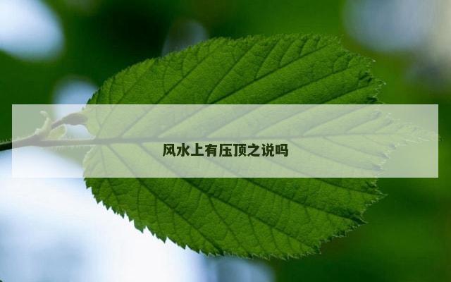 风水上有压顶之说吗