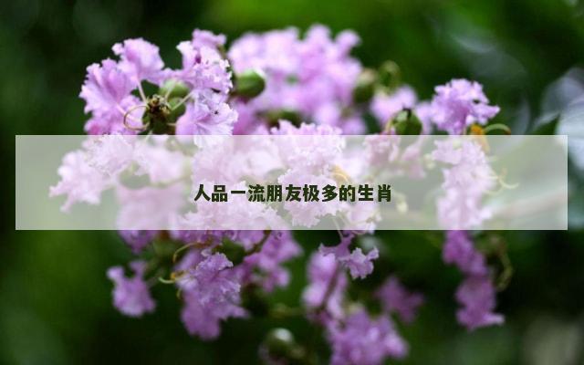 人品一流朋友极多的生肖