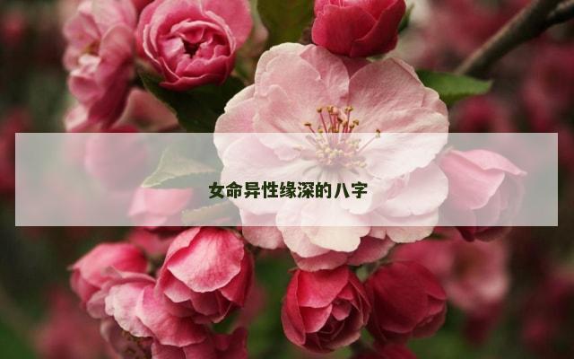 女命异性缘深的八字
