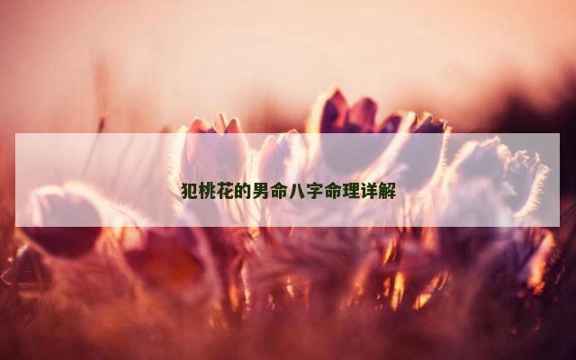 犯桃花的男命八字命理详解
