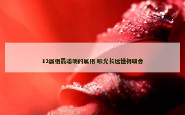 12属相最聪明的属相 眼光长远懂得取舍
