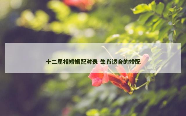 十二属相婚姻配对表 生肖适合的婚配