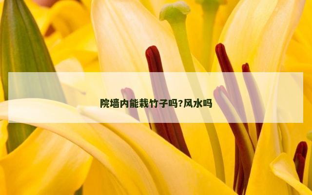 院墙内能栽竹子吗?风水吗