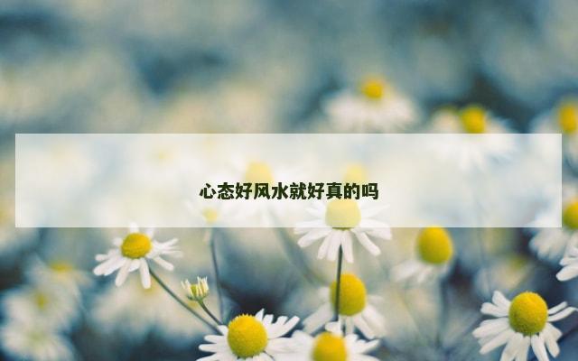 心态好风水就好真的吗