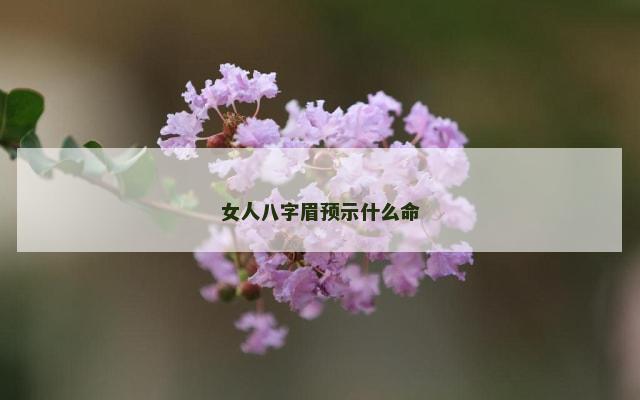 女人八字眉预示什么命