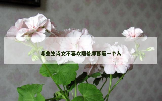 哪些生肖女不喜欢隔着屏幕爱一个人