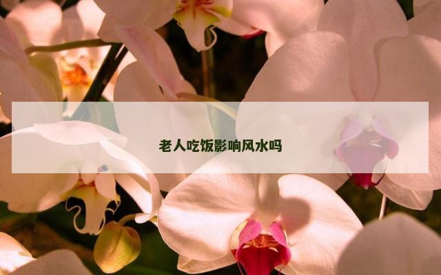 老人吃饭影响风水吗