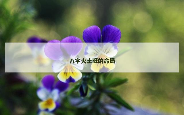 八字火土旺的命局