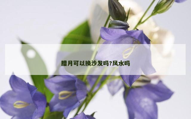 腊月可以换沙发吗?风水吗