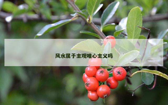 风水属于主观唯心主义吗