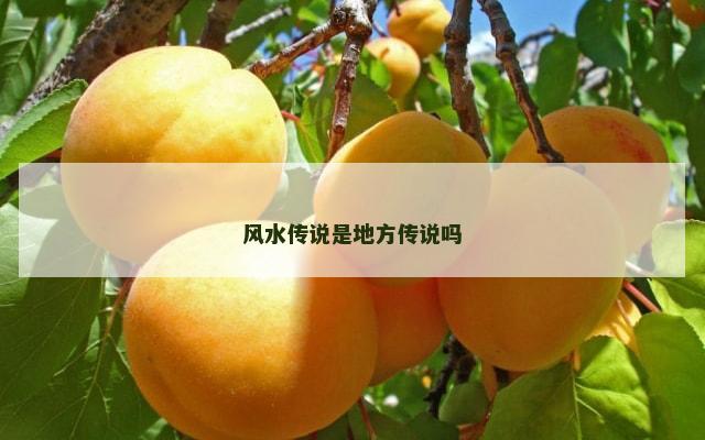风水传说是地方传说吗