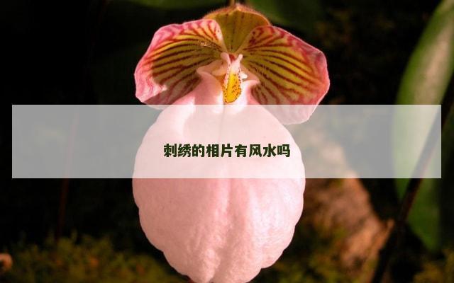 刺绣的相片有风水吗