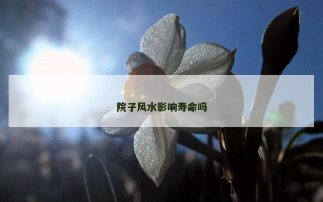 院子风水影响寿命吗