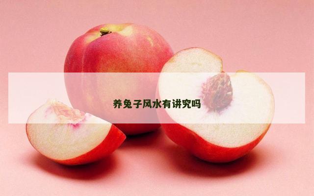 养兔子风水有讲究吗