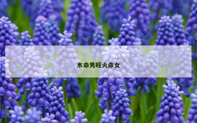 木命男旺火命女