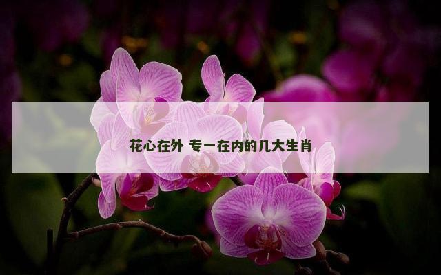花心在外 专一在内的几大生肖