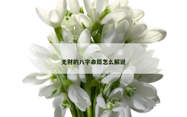 无财的八字命局怎么解说