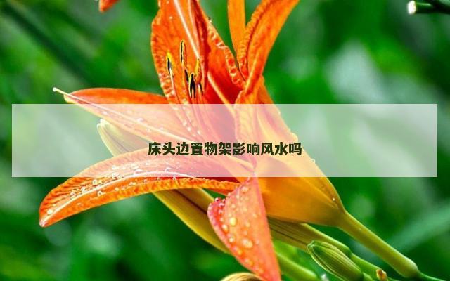 床头边置物架影响风水吗
