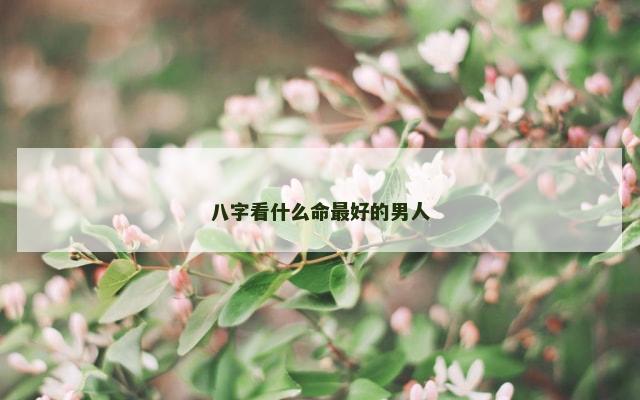 八字看什么命最好的男人