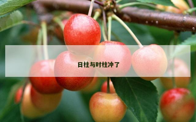 日柱与时柱冲了