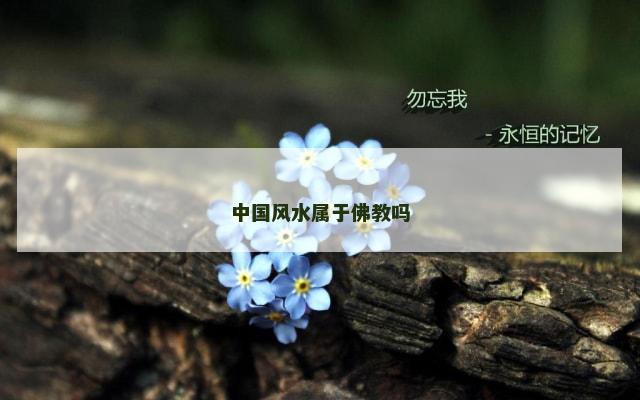 中国风水属于佛教吗
