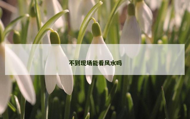 不到现场能看风水吗