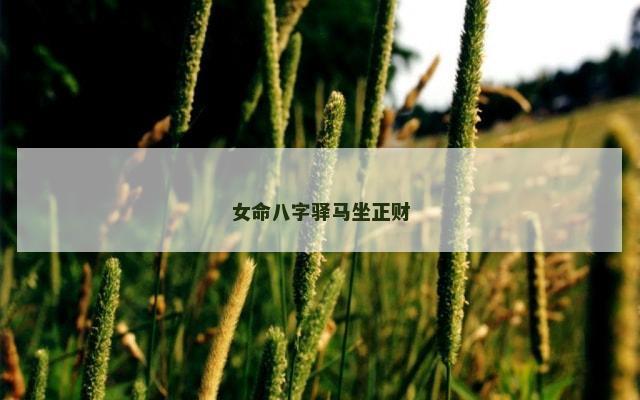 女命八字驿马坐正财