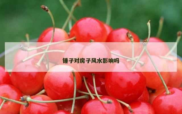 锤子对房子风水影响吗