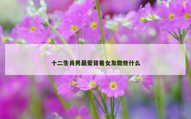 十二生肖男最爱背着女友做些什么