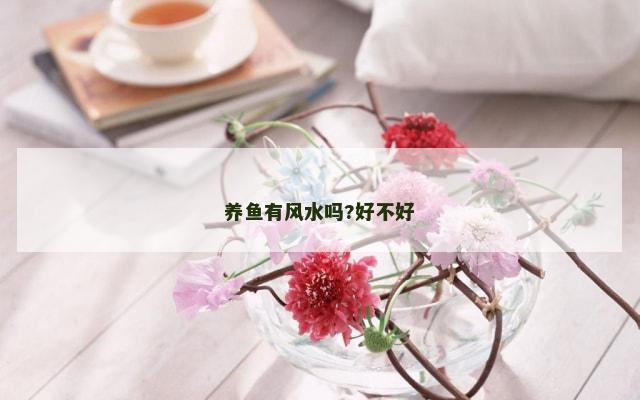 养鱼有风水吗?好不好