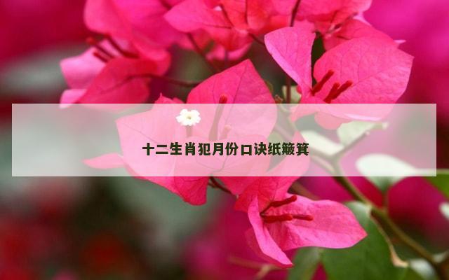 十二生肖犯月份口诀纸簸箕