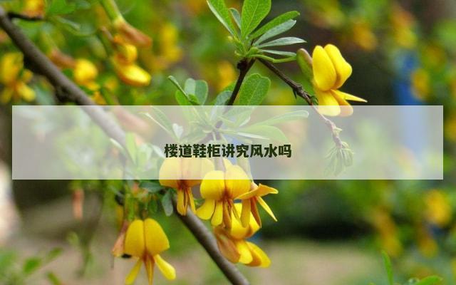 楼道鞋柜讲究风水吗