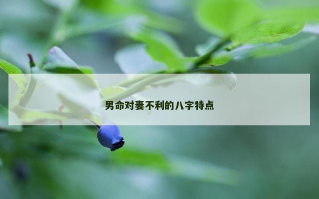 男命对妻不利的八字特点