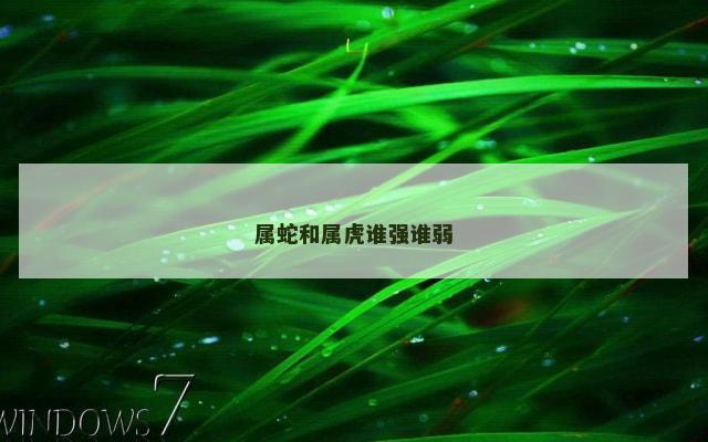 属蛇和属虎谁强谁弱