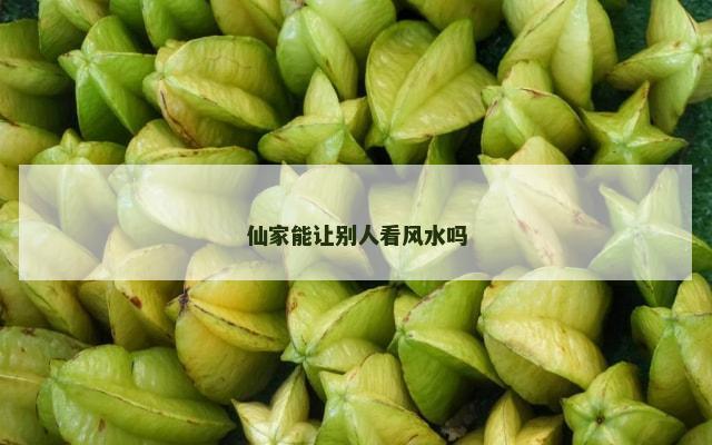 仙家能让别人看风水吗