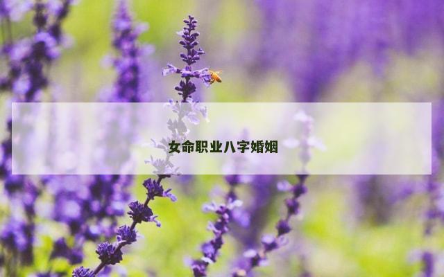 女命职业八字婚姻
