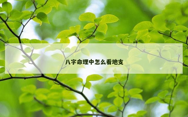 八字命理中怎么看地支