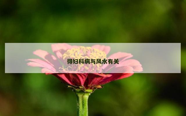 得妇科病与风水有关